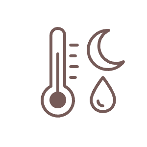 Symptom relief icon