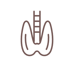 Thyroid hormones icon